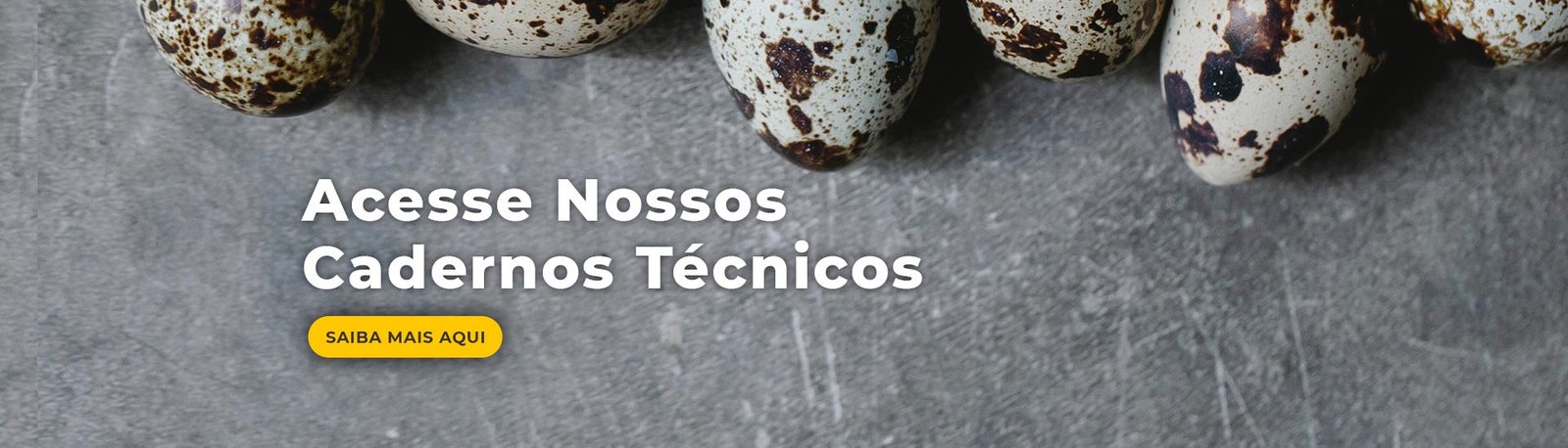 banner 2